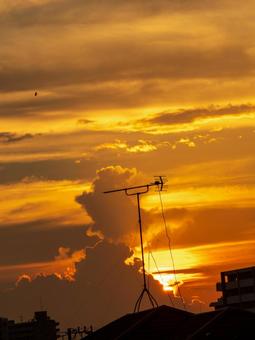 小岩の江戸川堤から見た夕焼け 小岩の江戸川堤から見た夕焼けの写真