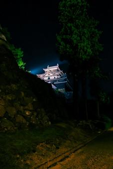 【島根】松江城の夜景 島根,松江,夜景の写真素材