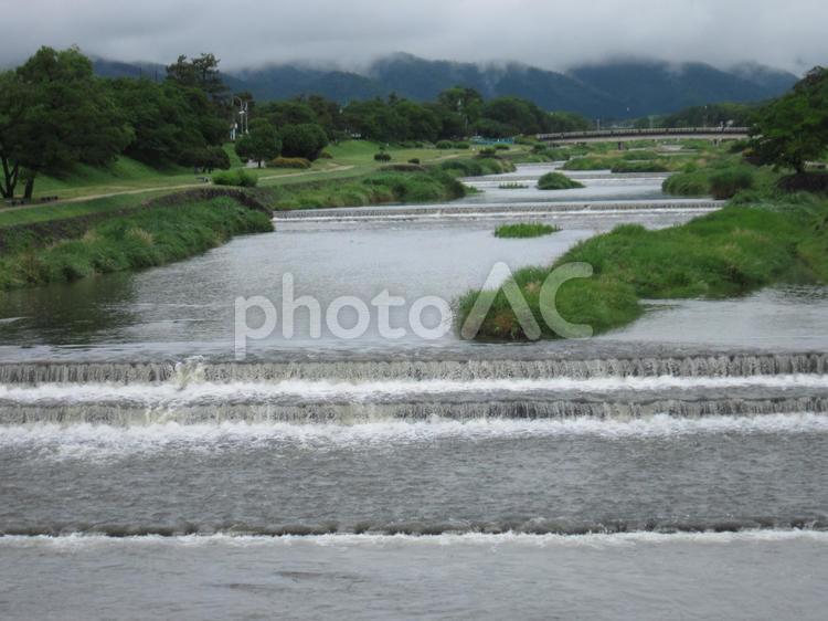 梅雨時期の加茂川、雲の垂れこめた北山を望む。 梅雨,雨期,６月の写真素材
