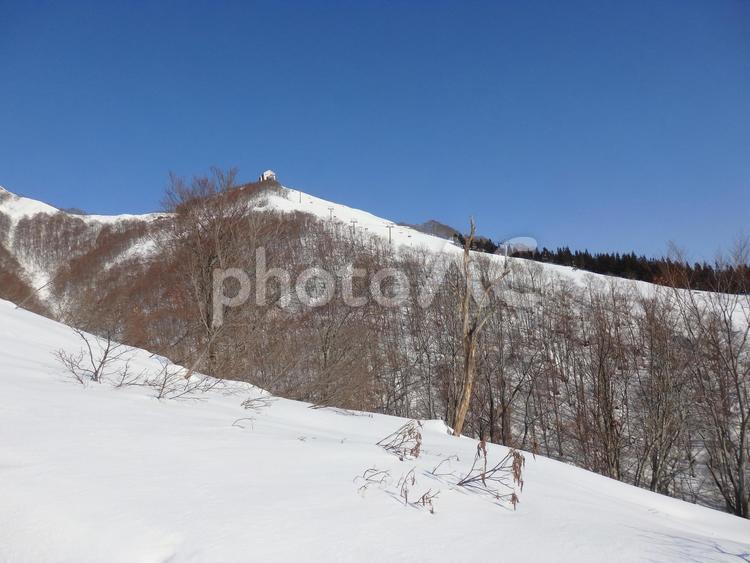 新潟県　岩原スキー場 景色,風景,雪山の写真素材
