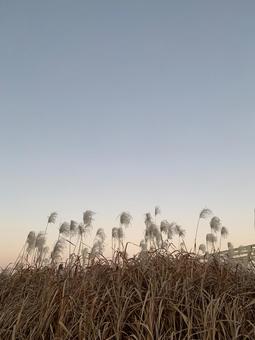 空＿秋の夕暮れ 夕暮れ,風景,グラデーションの写真素材