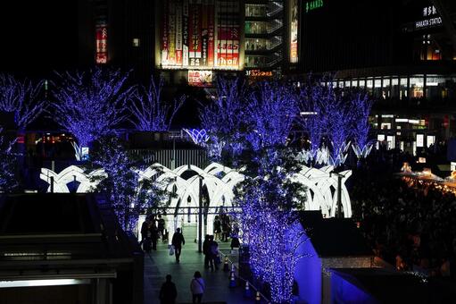 福岡 博多駅のイルミネーション8 光の森,光のゲート,ウィッシュフラワーの写真素材