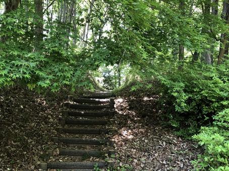 秩父の山道② 山,山道,森の写真素材