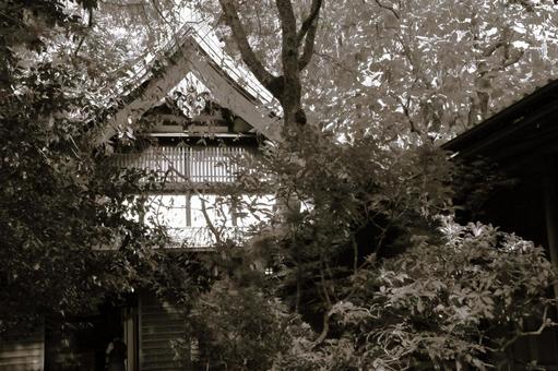 瑞泉寺ー鎌倉ー神奈川県 瑞泉寺ー鎌倉ー神奈川県の写真