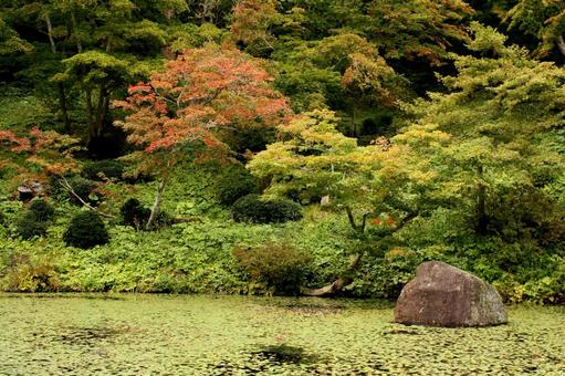 庭園 庭園の写真