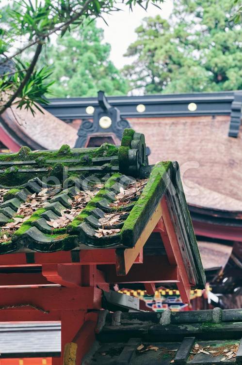 神社の赤い屋根 神社,日本,観光地の写真素材