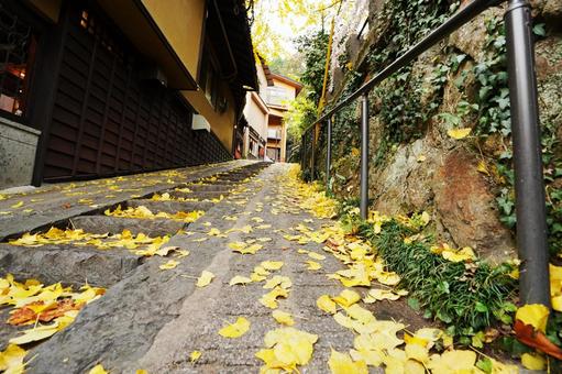 熊本 黒川温泉 坂道に落葉したイチョウ4 イチョウ,銀杏,公孫樹の写真素材
