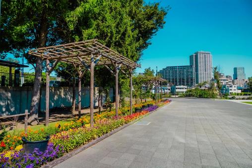 【宮城】仙台の風景 【宮城】仙台の風景 宮城,仙台,城跡の写真素材
