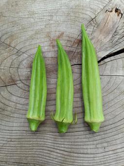 オクラ オクラ オクラ,野菜,夏野菜の写真素材