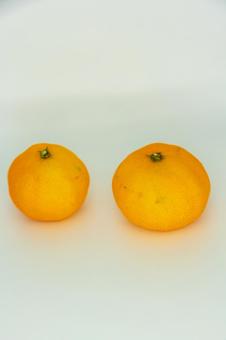 フレッシュなみかん二つ みかん,蜜柑,柑橘類の写真素材