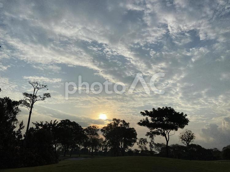 幻想的な夕暮れ 幻想的,夕暮れ,草原の写真素材