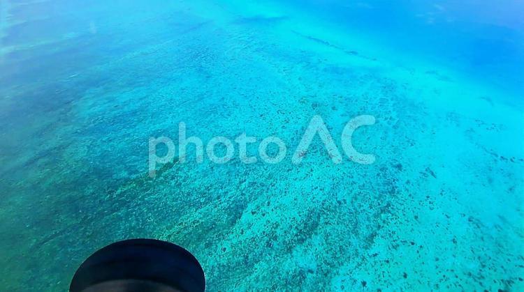 オーストラリア　グレートバリアリーフ オーストラリア,グレートバリアリーフ,海の写真素材