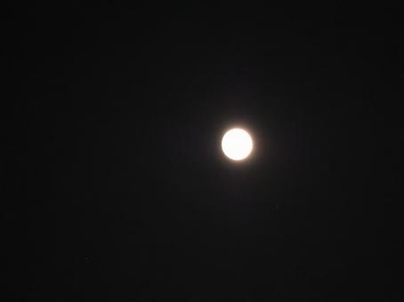 Moonlit Night, JPG Moonlit Night, JPG