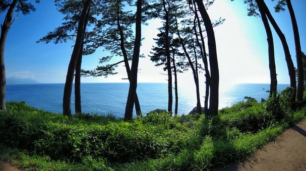 東尋坊 東尋坊 東尋坊,海,絶壁の写真素材