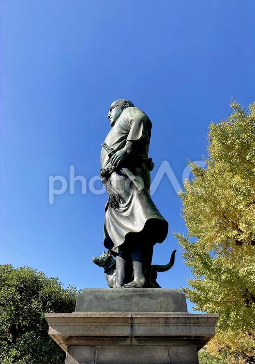 東京風景・上野公園 上野公園,上野恩賜公園,西郷隆盛像の写真素材