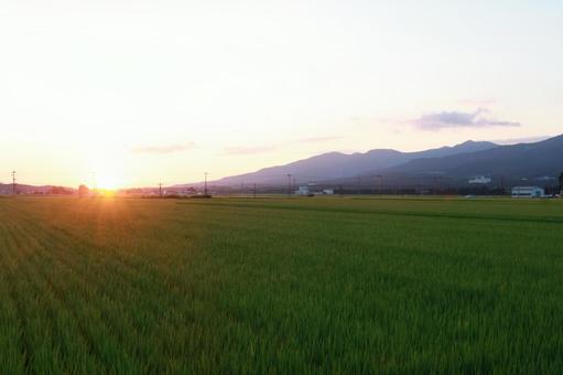 田園風景 田園風景 田園,癒しの風景,水田の写真素材