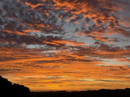 夕焼けうろこ雲 夕焼けうろこ雲の写真