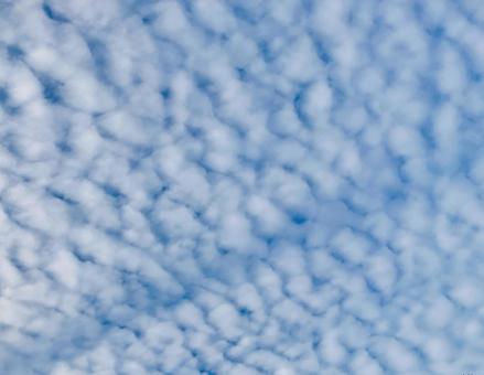 うろこ雲・秋の空 うろこ雲・秋の空 うろこ雲,巻積雲,雲の写真素材
