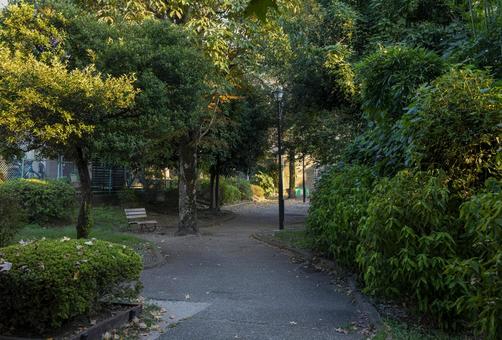 公園 公園,散歩,小径の写真素材