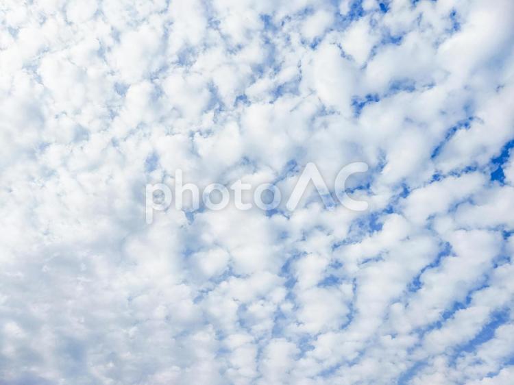 シンプル背景　雲の空の文字入れ背景素材 雲,空,曇りの写真素材