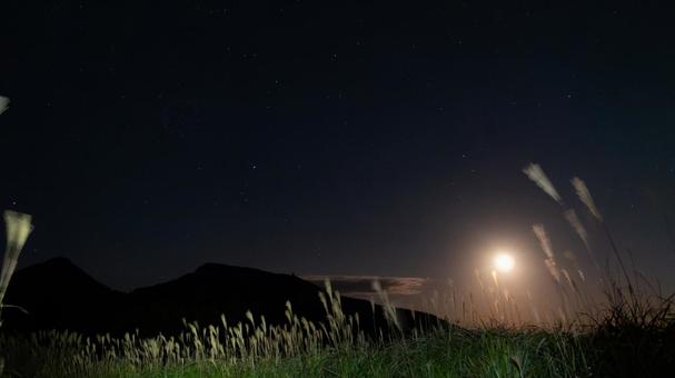月光に揺れる秋のススキ 月光に揺れる秋のススキ ススキ,月,夜の写真素材