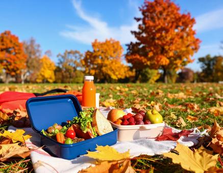 紅葉の公園で楽しむ秋のピクニック 紅葉の公園で楽しむ秋のピクニックの写真