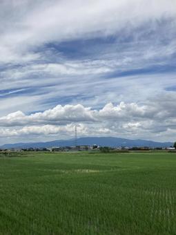 夏の空と雲(縦) 夏の空と雲(縦)の写真