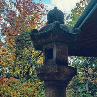 灯籠 灯籠,古風,風情の写真素材