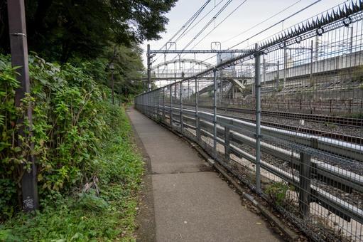 電車の線路沿いの道 線路,道,木の写真素材