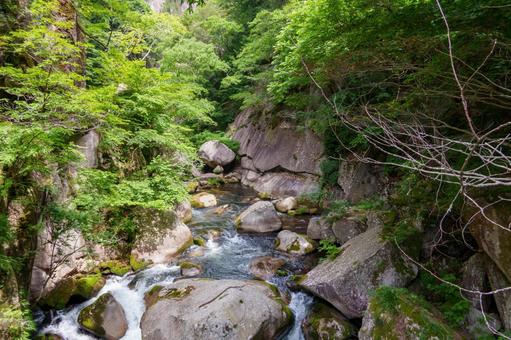 250527昇仙峡 山梨県,甲府市,昇仙峡の写真素材