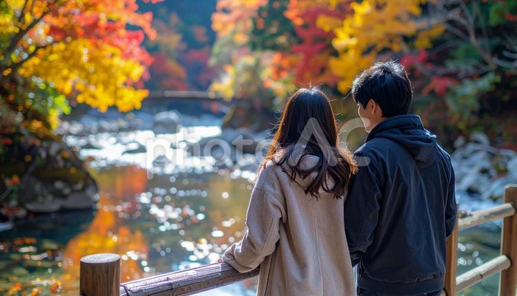 秋の渓谷を眺めるカップル 男性,女性,人物の写真素材