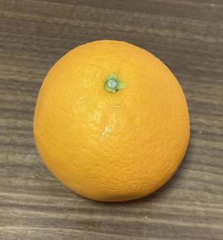 オレンジ オレンジの写真