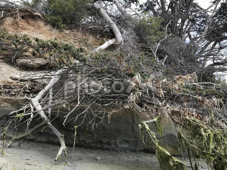 化石がとれる崖 崖,自然,背景の写真素材