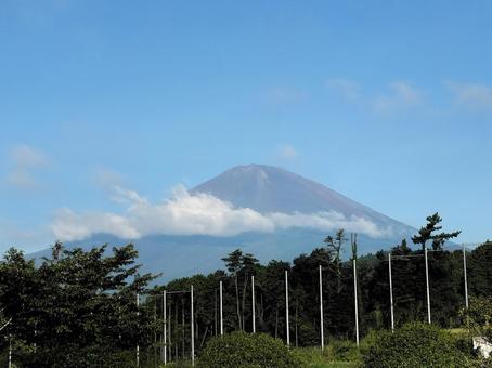 早朝の富士山 早朝の富士山の写真