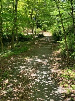 山道 山道の写真