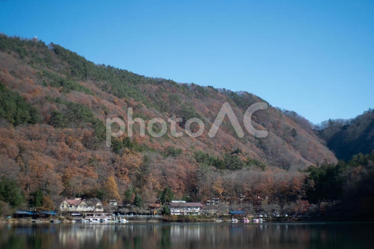 紅葉に包まれた湖畔のキャンプ場 紅葉,秋,風景の写真素材