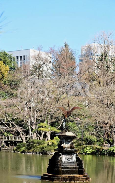 ３月初旬の雲形池３月、鶴の噴水 雲形池,鶴の噴水,噴水の写真素材