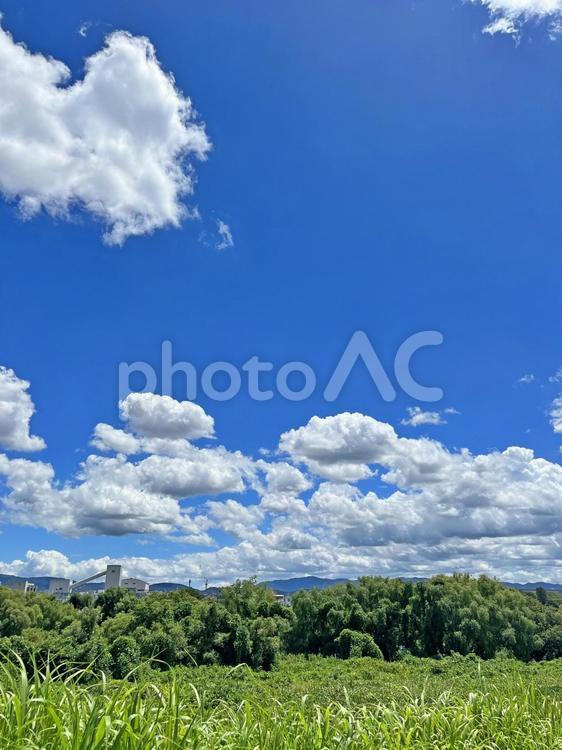 京都桂の桂川沿いからの風景 空,ブルー,自然の写真素材
