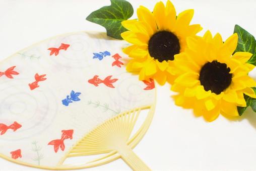 夏のイメージ 団扇とひまわり 夏のイメージ 団扇とひまわりの写真