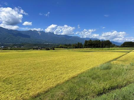 秋の田園風景 秋の田園風景の写真