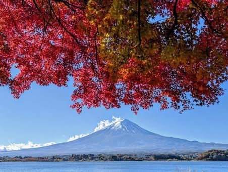 秋晴れの河口湖 富士山,秋,紅葉の写真素材