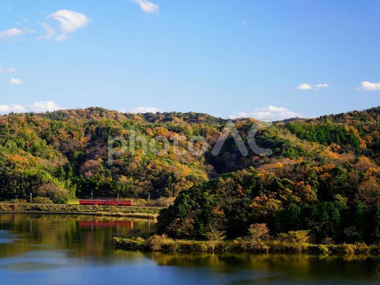 山陰本線　キハ47　水尻池　紅葉 山陰本線,キハ47,ローカル線の写真素材
