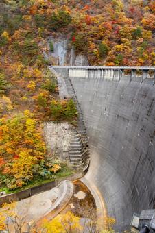 鳴子ダムの紅葉⑼ 秋,紅葉,山の写真素材