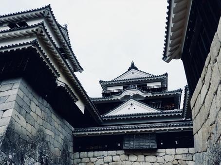 松山城本壇の天守群 松山城,伊予松山城,天守の写真素材