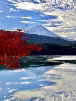 西湖から見る富士山 富士山,紅葉,秋の写真素材