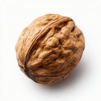 白背景に置かれた新鮮なクルミの実の写真