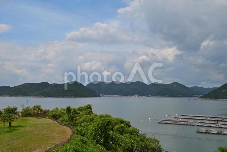 牡蠣の養殖（瀬戸内海） 海,風景,夏の写真素材