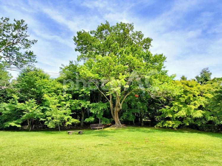 鳥羽山公園　静岡県浜松市天竜区二俣町二俣 鳥羽山公園,静岡県,浜松市の写真素材