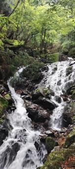 竜頭山の滝004 竜頭山の滝004の写真