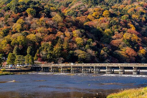 京都　嵐山　渡月橋　紅葉 嵐山,渡月橋,桂川の写真素材